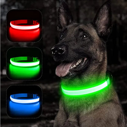 Collier Lumineux LED pour Chien Réglable - Rechargeable - Sécurité Nocturne pour Petit Chien