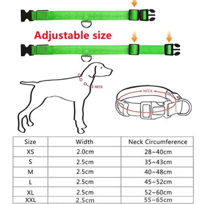 Collier Lumineux LED pour Chien Réglable - Rechargeable - Sécurité Nocturne pour Petit Chien