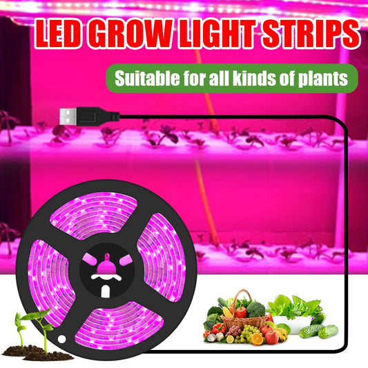 Bande Lumineuse USB LED pour la Croissance des Plantes, plantation, lumière,led