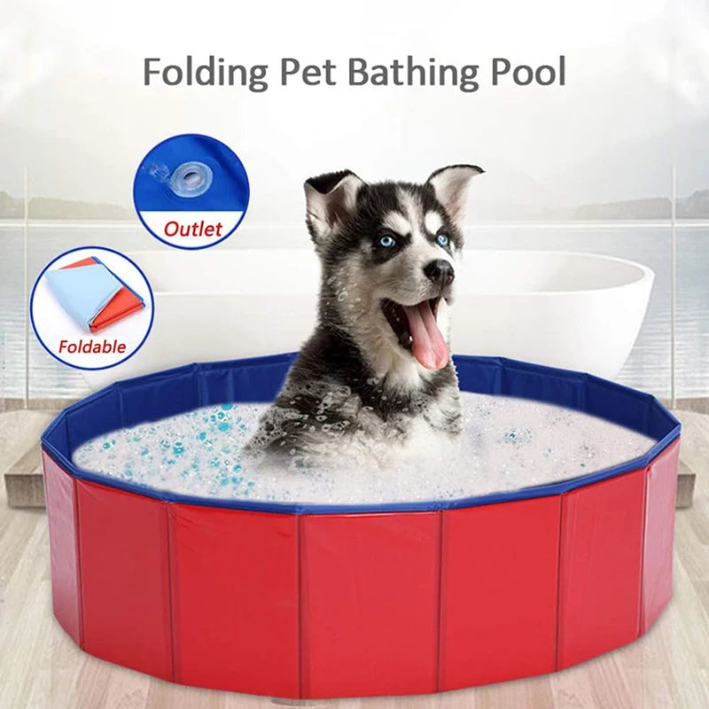 Baignoire pliable chien, portable pour chaton. Intérieur/extérieur. Piscine été, enfant