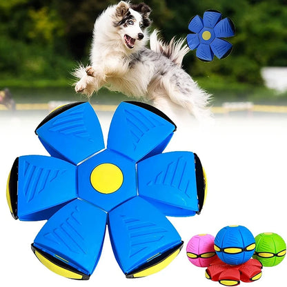 Jouet Magique Volant pour Chiens : Frisbee Amusant, Entraînement Extérieur, Accessoire Futuriste