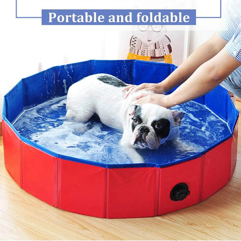 Baignoire pliable chien, portable pour chaton. Intérieur/extérieur. Piscine été, enfant