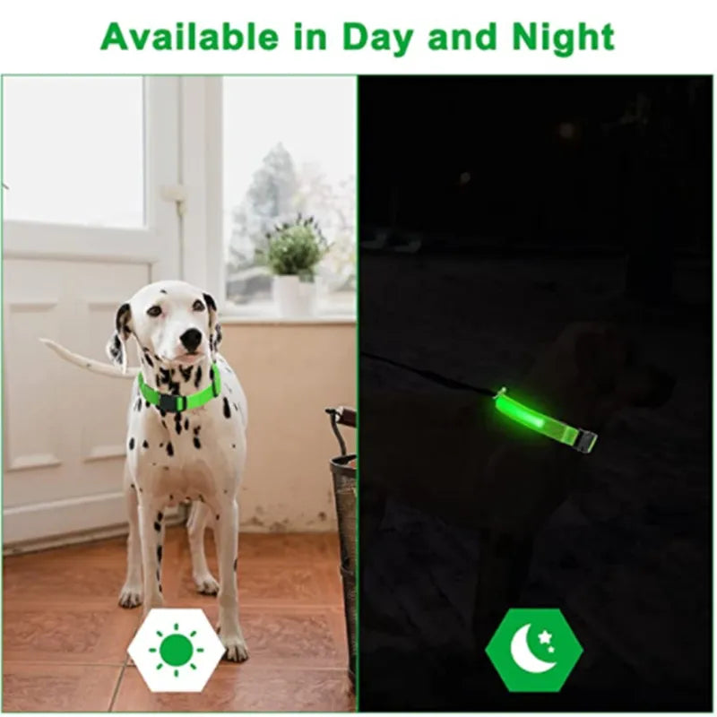 Collier Lumineux LED pour Chien Réglable - Rechargeable - Sécurité Nocturne pour Petit Chien