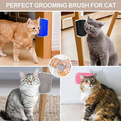 Brosse coin massage grattoir chat. Accessoire, toilettage, chat, grattage, jouet