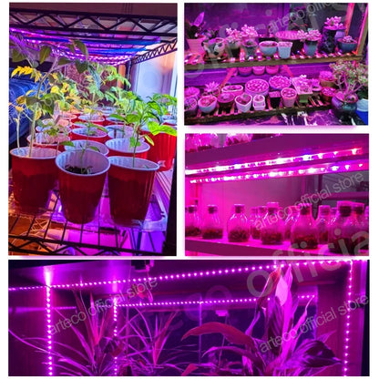 Bande Lumineuse USB LED pour la Croissance des Plantes, plantation, lumière,led