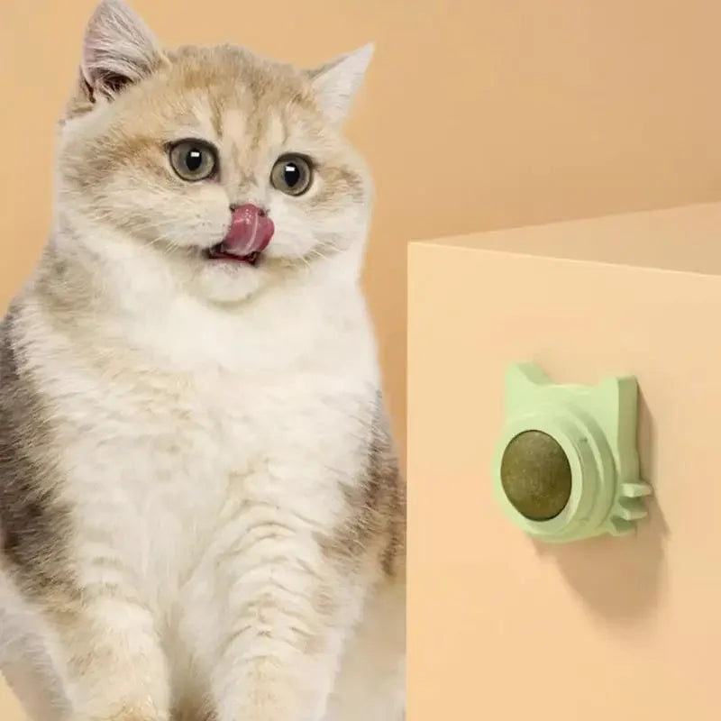 Balles à l'herbe à chat comestibles et ludiques pour chatons, jouet nettoyant les dents