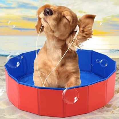 Baignoire pliable chien, portable pour chaton. Intérieur/extérieur. Piscine été, enfant