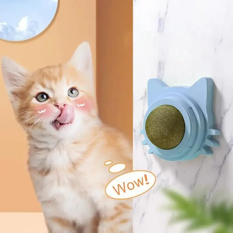 Balles à l'herbe à chat comestibles et ludiques pour chatons, jouet nettoyant les dents