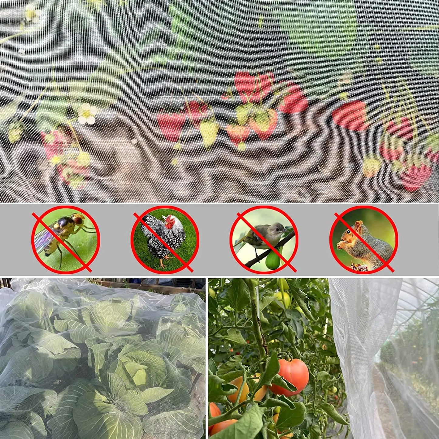 Filet Protection Anti-Insectes, Plantes Légumes, Couverture Soin Fruits Fleurs, Serre, Contrôle Ravageurs Anti-Oiseaux