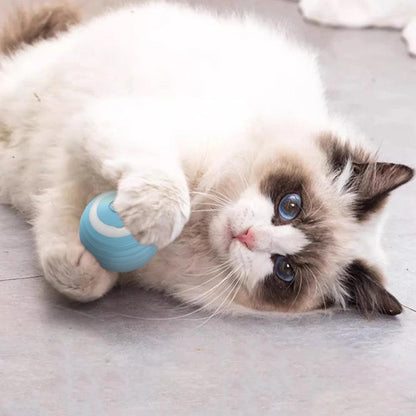 Balle interactive pour chats : Mouvements Automatiques et Recharge Pratique - GetOrga