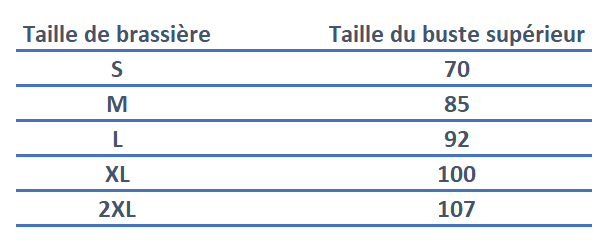 Optez pour l'Élégance et le Confort : Découvrez Notre Nouvelle Collection de Brassières de Sport à Maintien Renforcé - GetOrga